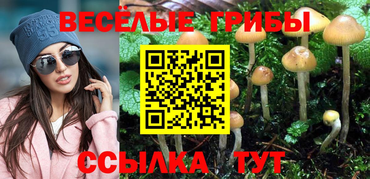 Псилоцибиновые грибы Psilocybine cubensis Похвистнево